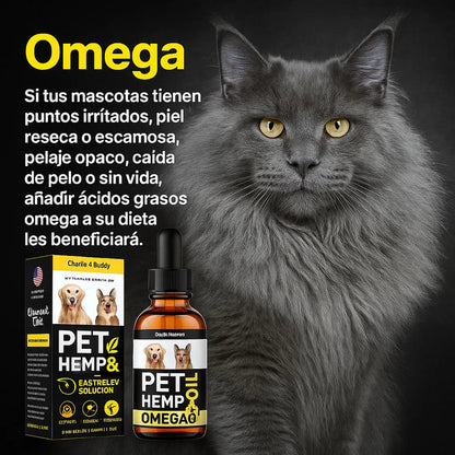 Suplemento liquido para mascotas OMEGA 3 Charlie & Buddy PET HEMP, Alivia molestias y aumenta su bienestar 🎁 Hoy 50% DCTO !!
